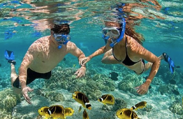 Best Beaches For Snorkeling Near Boqueron Beach