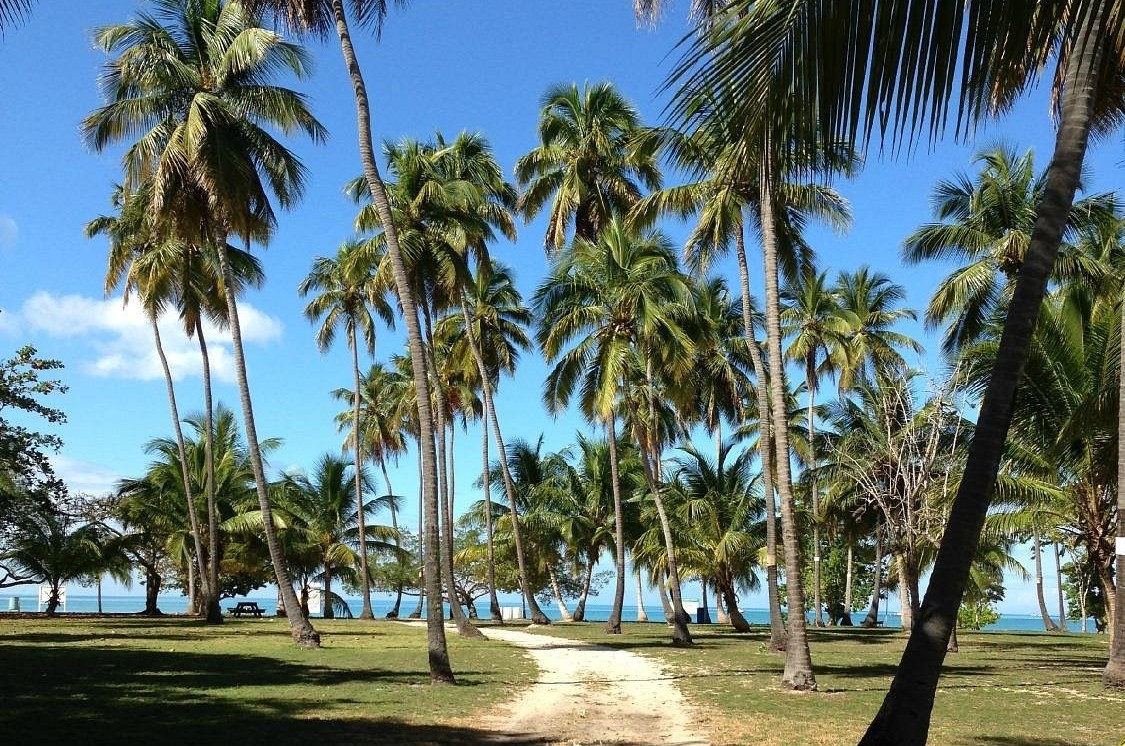 Best Time To Visit Boqueron Beach