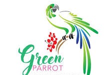 Boqueron Beach Cabo Rojo Green Parrot Logo