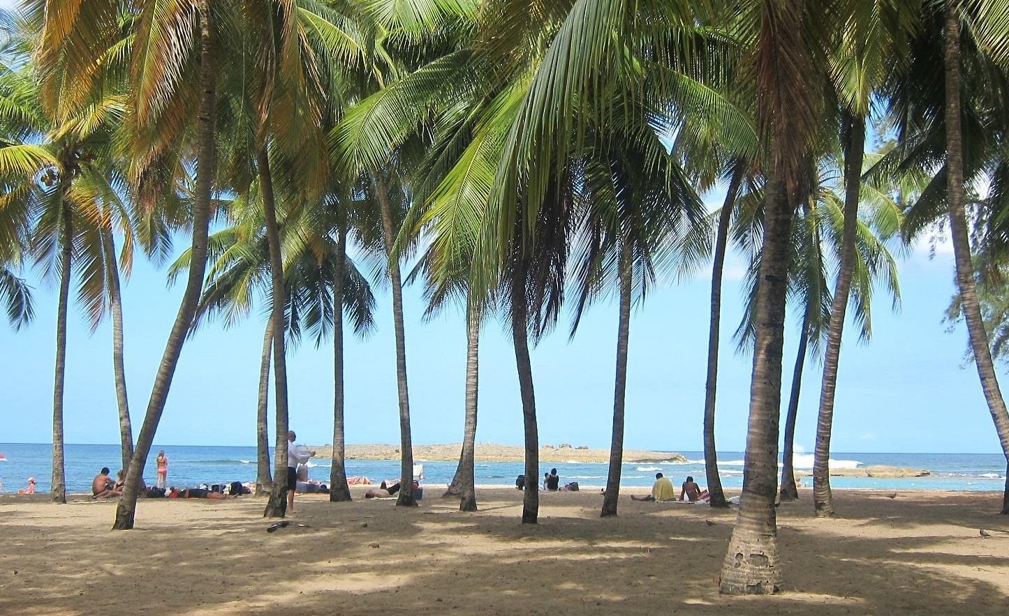 Esambron Beach San Juan Palm Trees