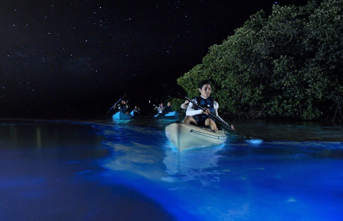 Mosquito Bay Bioluminescent Bay Vieques Island