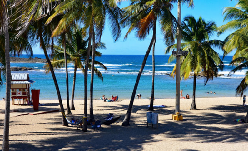 Apartments And Condos Escambron Beach San Juan Palmtrees
